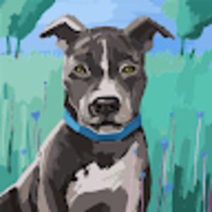 Meet your Posher, Lily